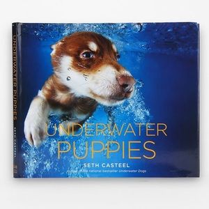 UNDERWATER PUPPIES BY SETH CASTEEL [HARDCOVER BOOK]